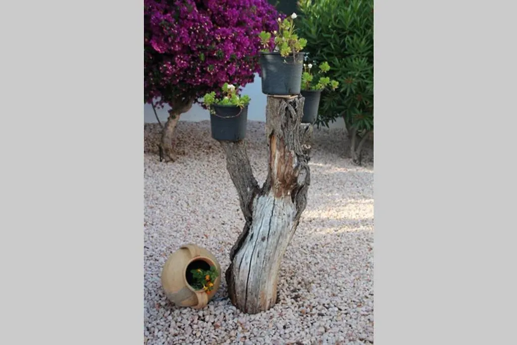 Villa Nuria Loule